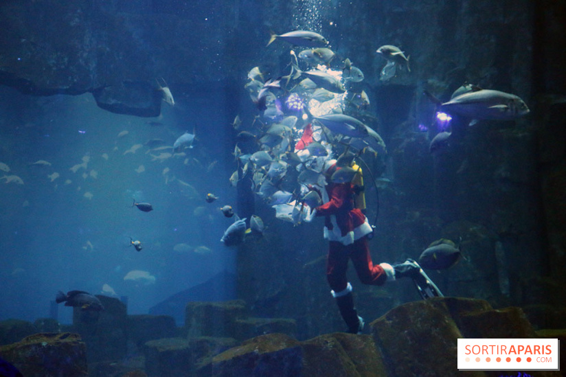 Aquarium de Paris Décembre 2016