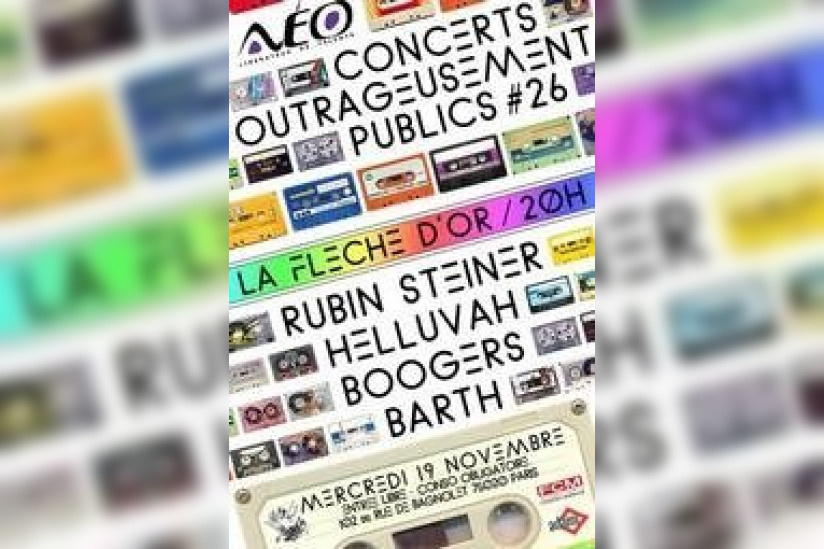 Concerts, Paris, Concerts outrageusement publics, Fleche d'Or, Rubin Steiner