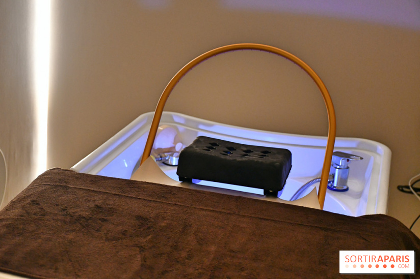 NESSPA head spa capillaire