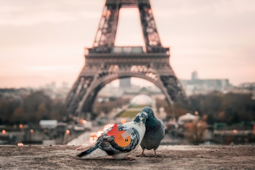 Poissons d'avril ou pas ? Le QCM pour vous tester 