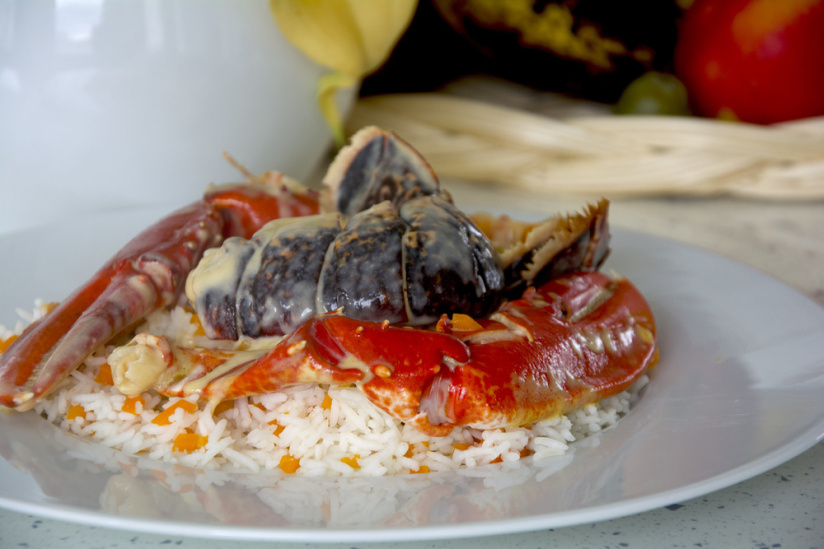 Le traiteur Festins dévoile son menu pour les fêtes de fin d'année