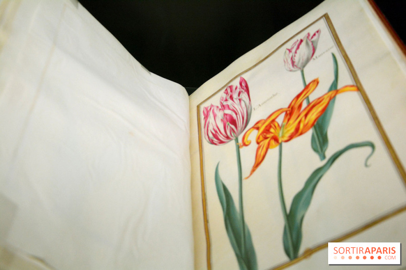 Exposition Jardins au Grand Palais