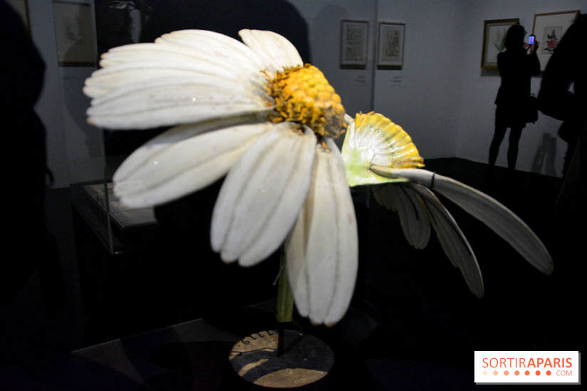 Exposition Jardins au Grand Palais