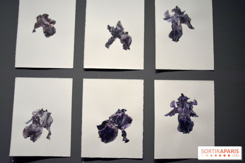 Exposition Jardins au Grand Palais