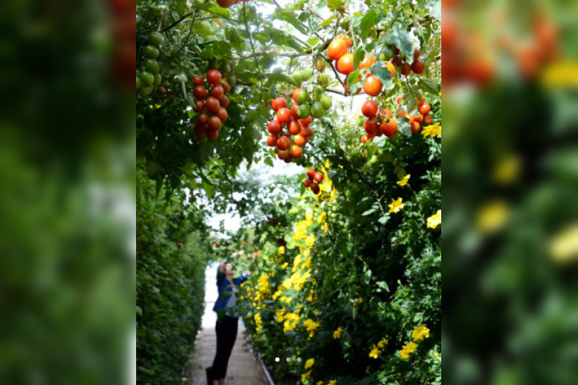 Jardin Perché du BHV Marais