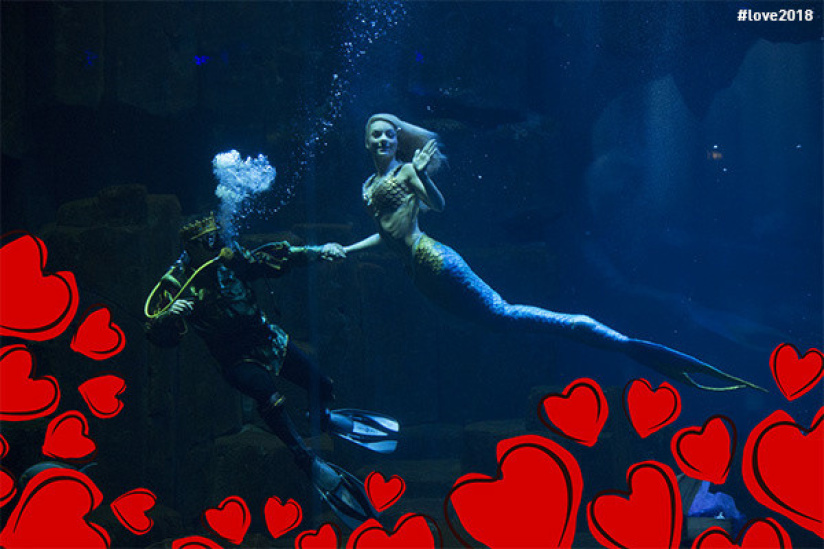 Saint-Valentin 2018 à l'Aquarium de Paris 