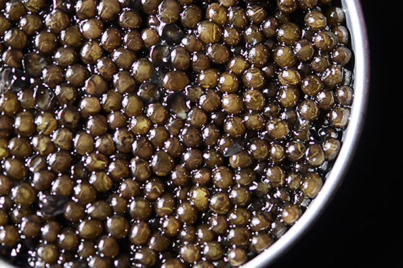 Salon gastronomique Mer & Vigne à l'Espace Champerret