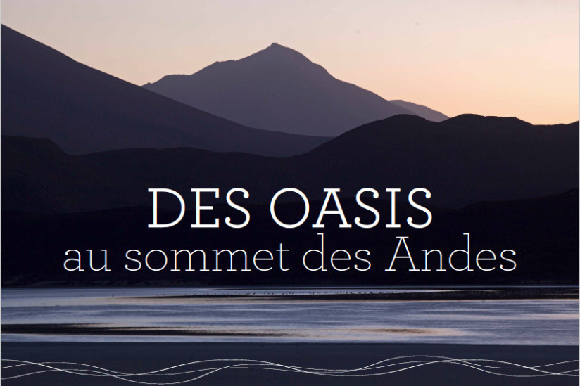 Expo photo : "des Oasis au sommet des Andes" au jardin Villemin