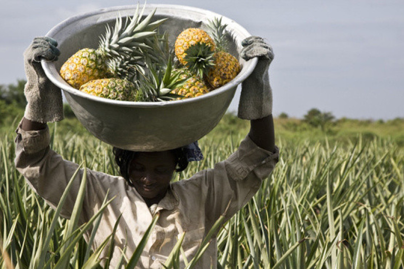 Le Village de l'Équitable au Parc de la Villette