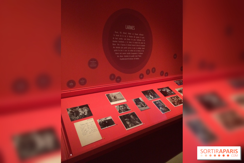 Mômes & Cie à la Cinémathèque