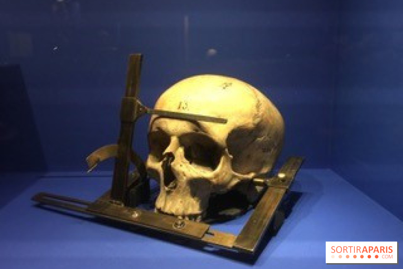 Nous et les autres, du préjugé au racisme, l’expo au Musée de l’Homme