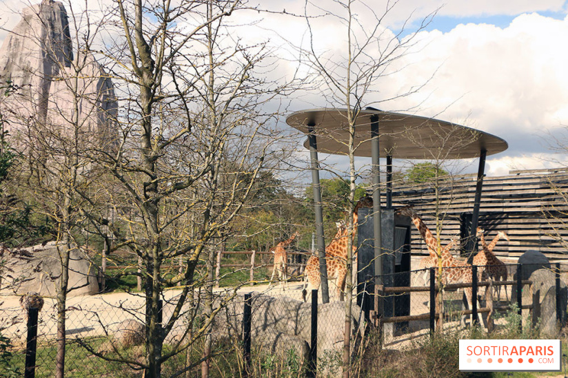 Zoo de Vincennes, Parc Zoologique de Paris 2017