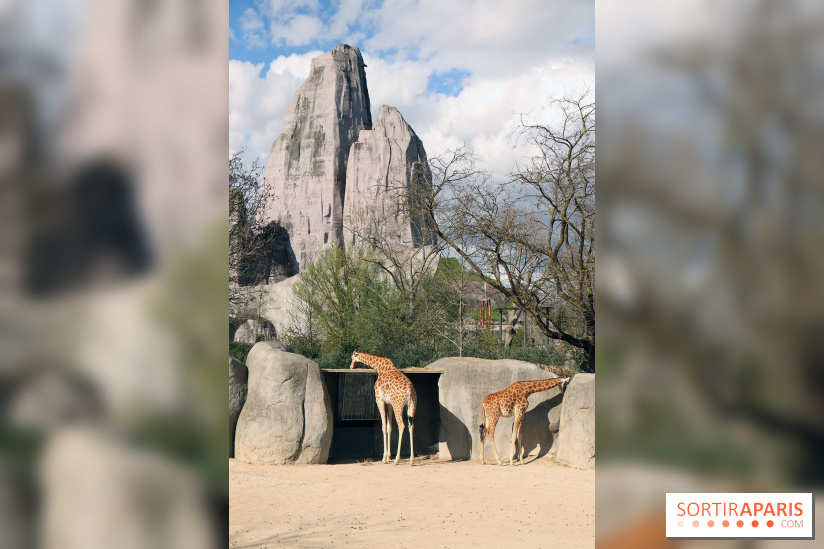 Zoo de Vincennes, Parc Zoologique de Paris 2017