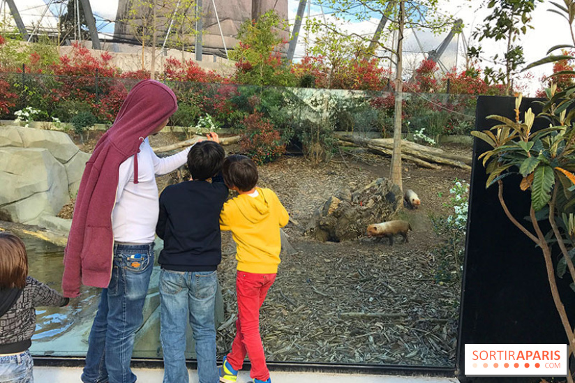 Zoo de Vincennes, Parc Zoologique de Paris 2017
