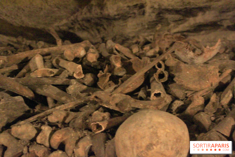 Les Catacombes de Paris