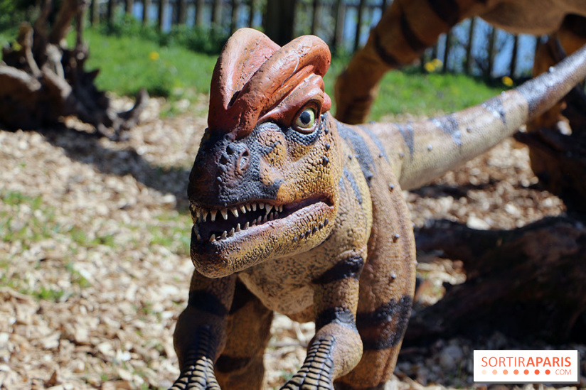DinoZOOres II au Zoo de Thoiry