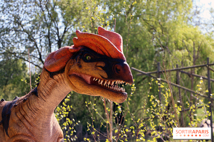 DinoZOOres II au Zoo de Thoiry