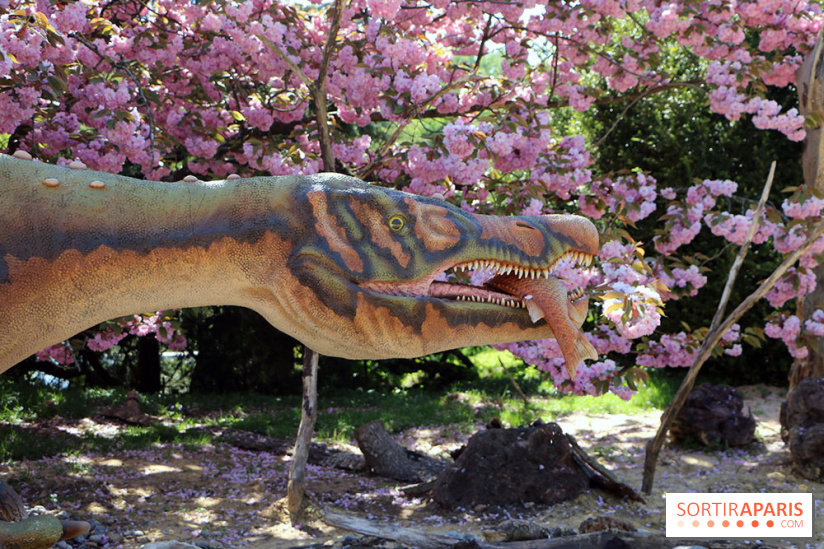 DinoZOOres II au Zoo de Thoiry