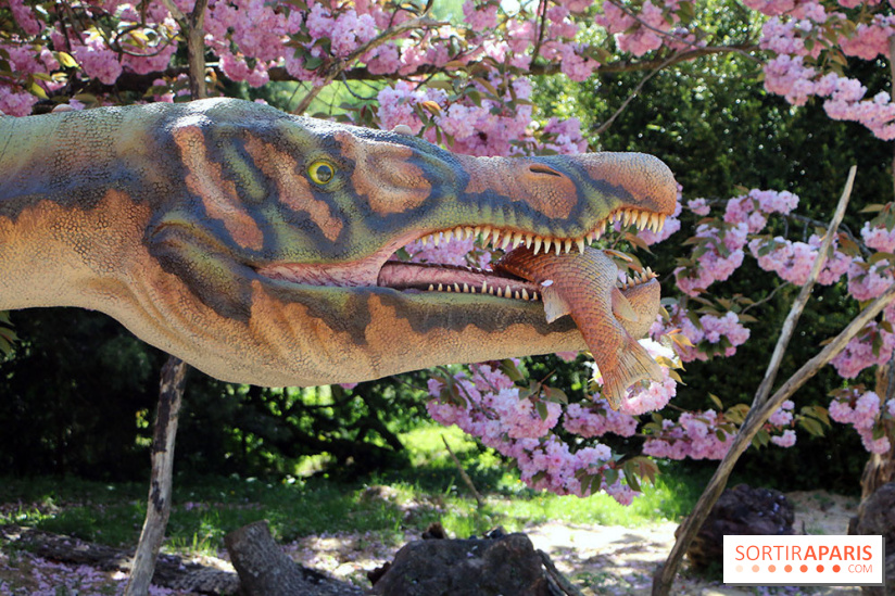 DinoZOOres II au Zoo de Thoiry