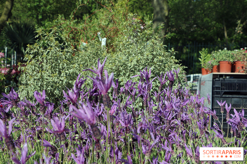 Jardins en Seine 2017