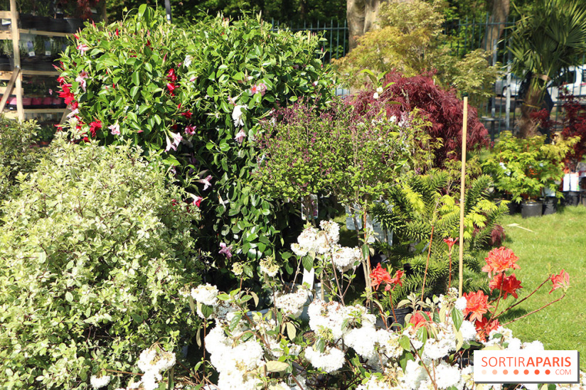 Jardins en Seine 2017