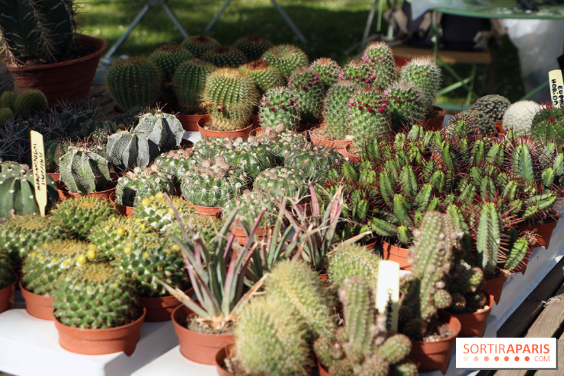 Jardins en Seine 2017