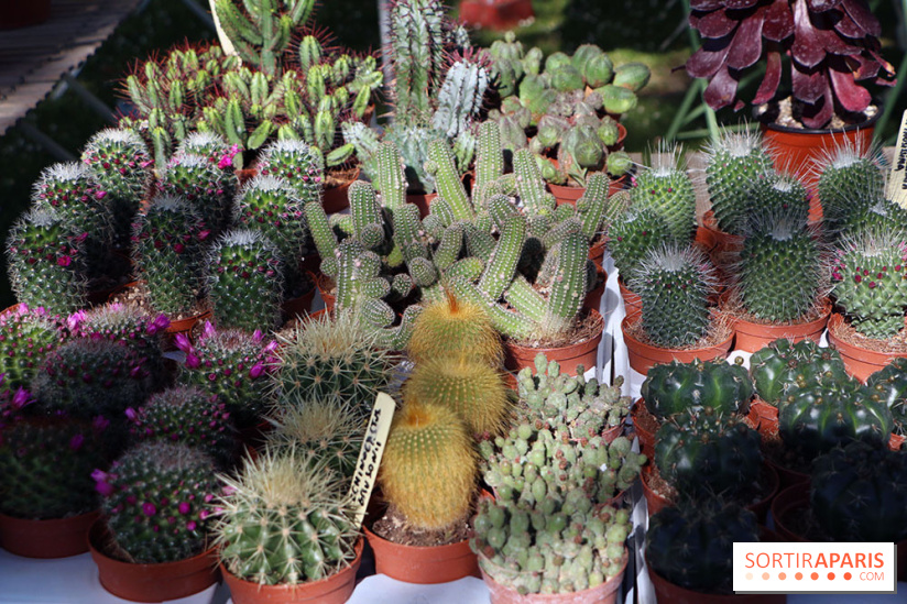 Jardins en Seine 2017