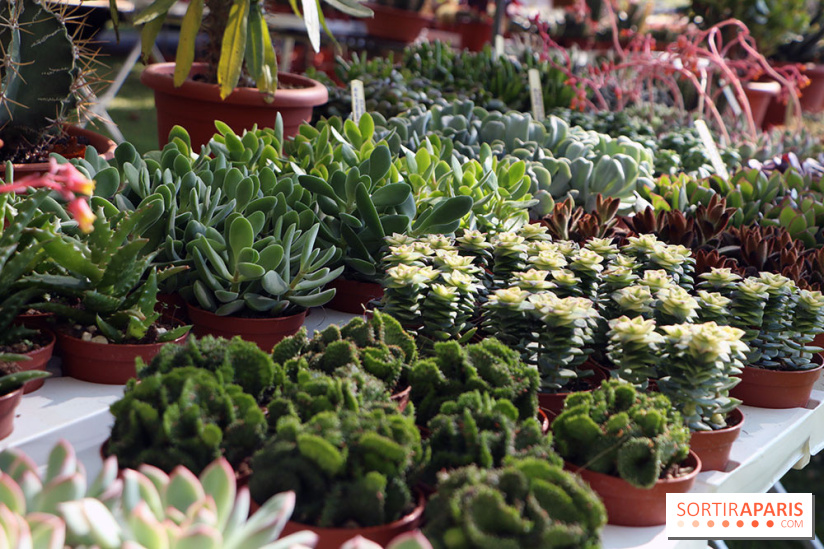 Jardins en Seine 2017