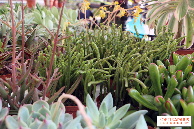 Jardins en Seine 2017