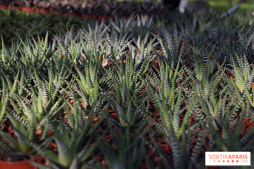 Jardins en Seine 2017