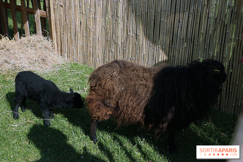 Jardins en Seine 2017