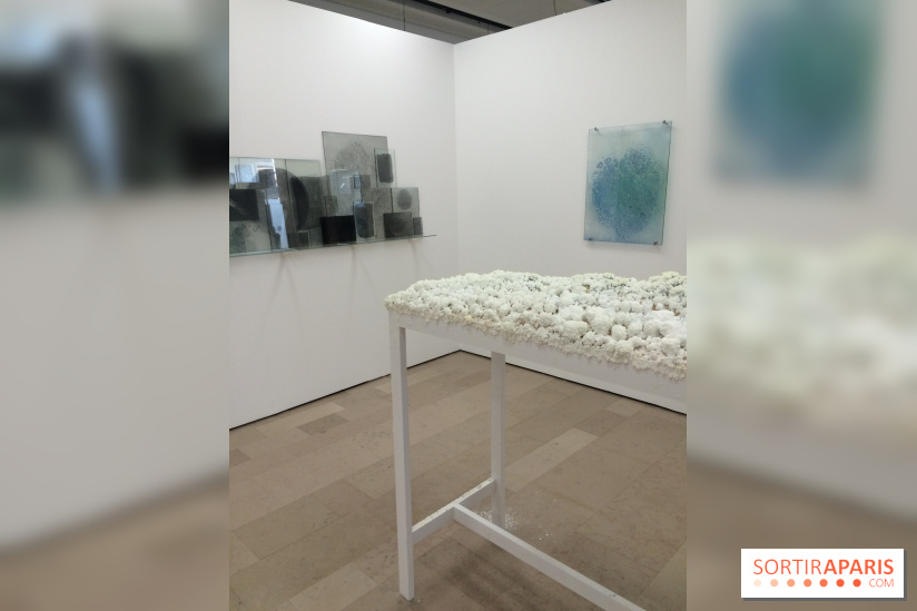 Salon de Montrouge 2017