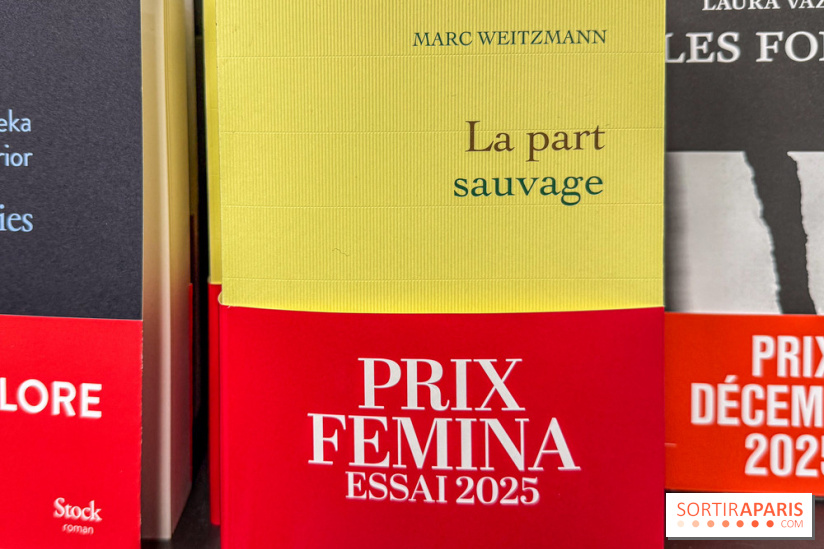 Prix Femina 2025 : Nathacha Appanah récompensée pour La Nuit au cœur