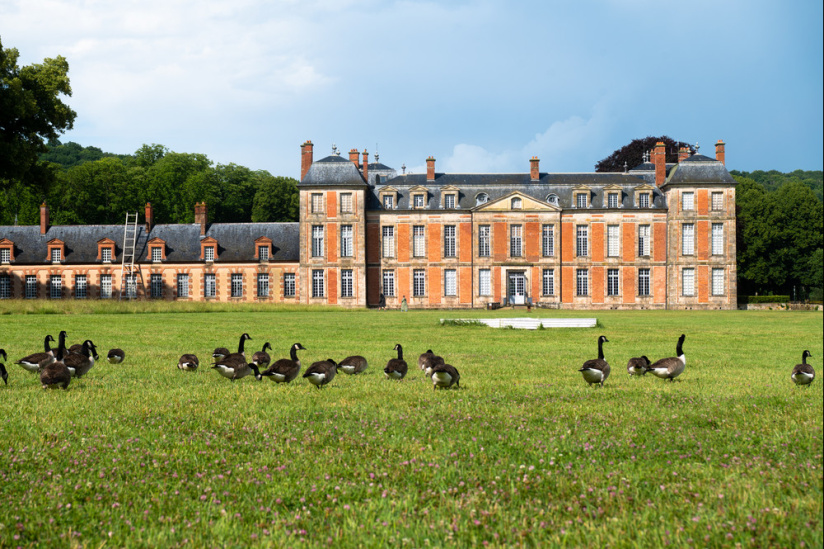 Exposition de Lélia Demoisy au Domaine de Chamarande : Récits de Forêts
