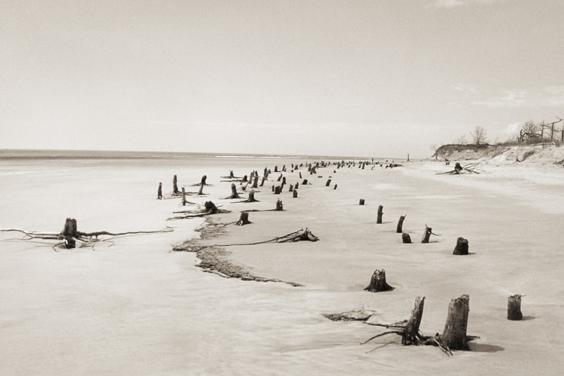 Corps littoral : l'exposition de Camille Guichard à la galerie Rachel Hardouin