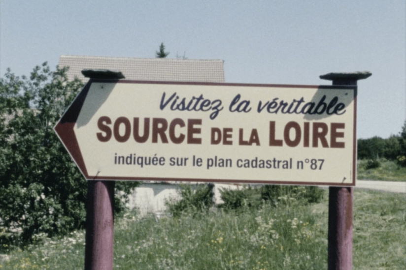 Rose Lowder au Palais de Tokyo : la nature image par image dans une exposition de films