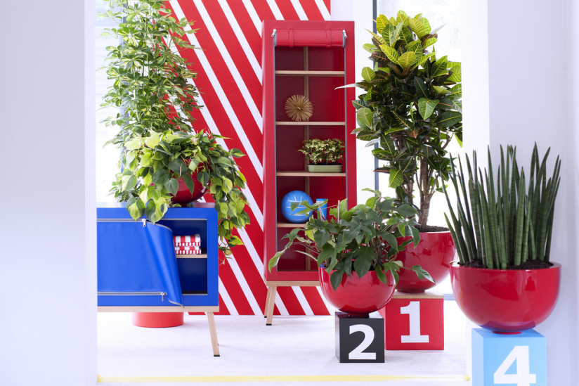 The Green Happiness, l'afterwork cosmétique pour les hommes qui aiment les plantes vertes