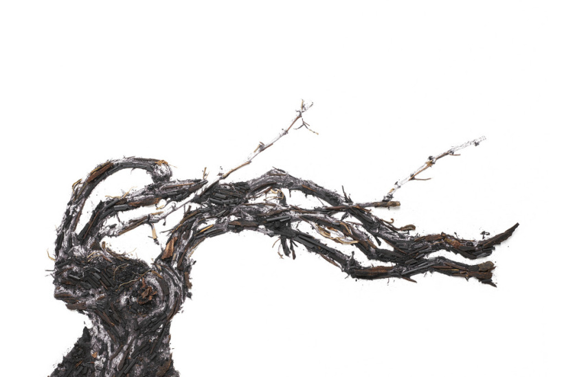 Shared Roots, l'exposition de Vik Muniz au Palais Brongniart