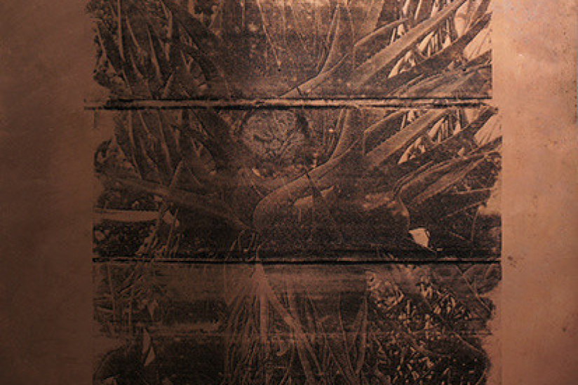 Exposition Eve Pietruschi à l'Hôtel Napoléon