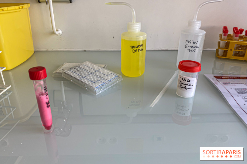 Escape Gènes, l'escape game qui sensibilise à la recherche génétique à l'Institut Imagine