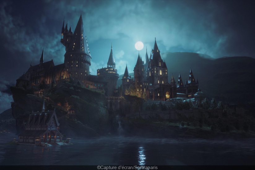 Hogwarts Legacy on Nintendo Switch: our review of Avalanche