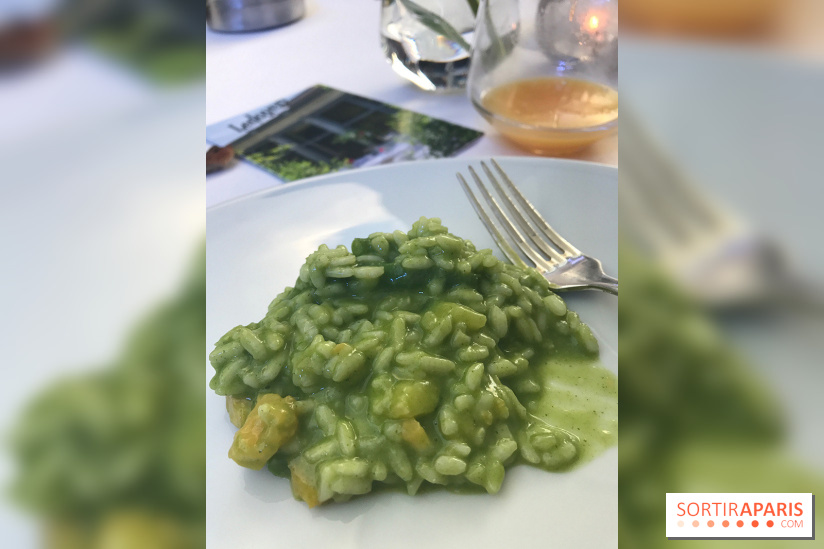 La Terrasse du Pavillon Ledoyen
