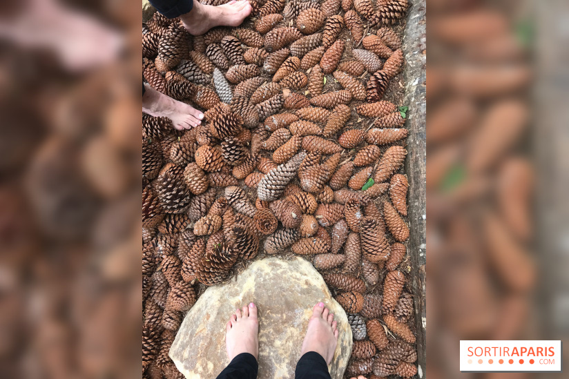 Le Parcours Biodiversité du Parc Zoologique de Paris