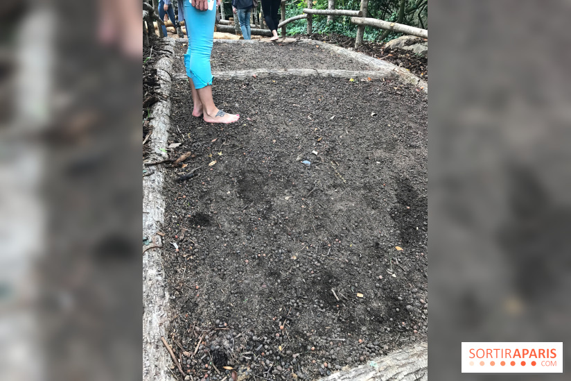 Le Parcours Biodiversité du Parc Zoologique de Paris