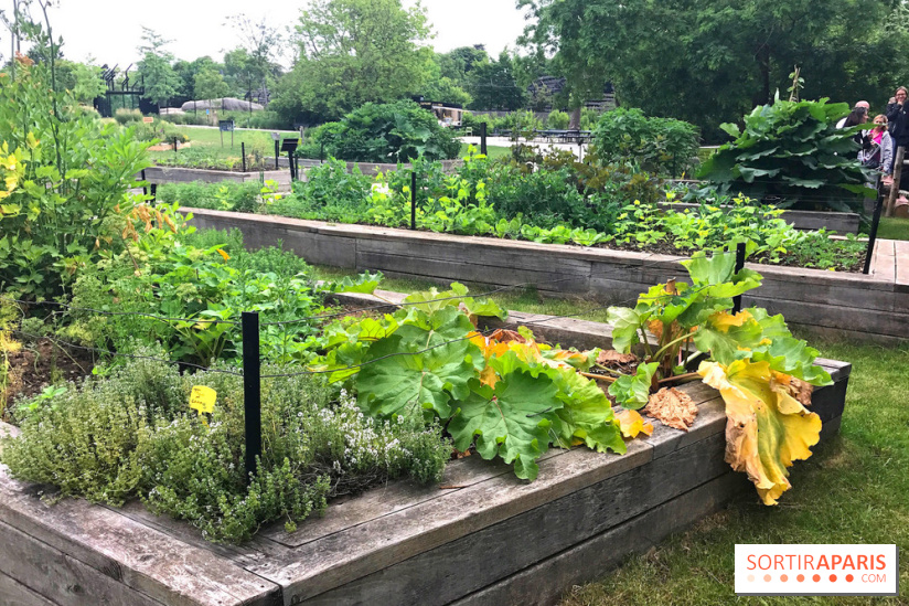 Le Parcours Biodiversité du Parc Zoologique de Paris