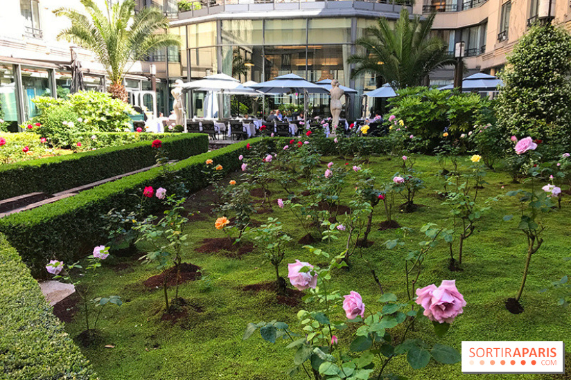 Le menu cajun du Safran à l'Hôtel du Collectionneur