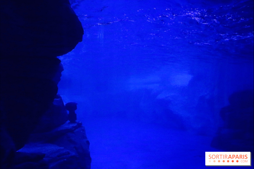 Les Manchots de l'Aquarium Sea Life