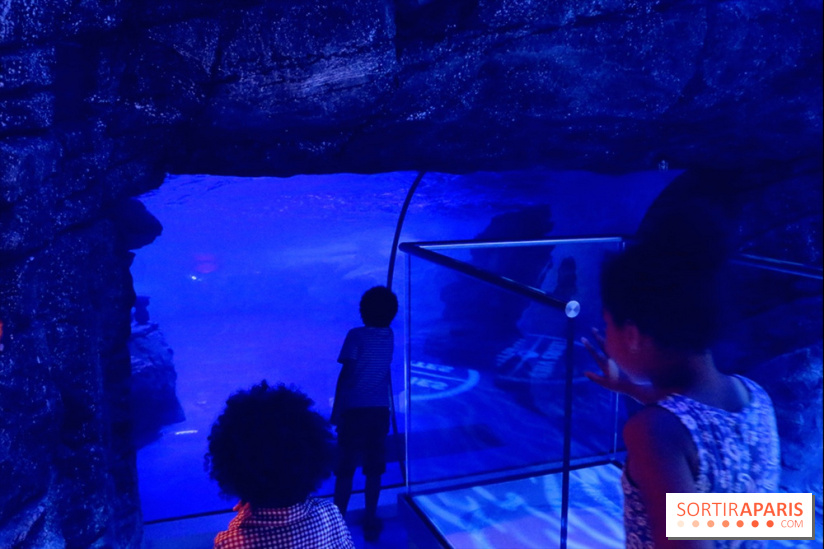 Les Manchots de l'Aquarium Sea Life