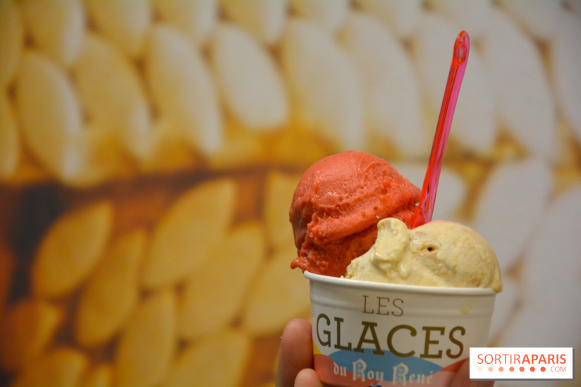 Les glaces chez Le Roy René