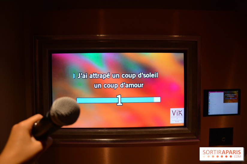 VIK Karaoké Saint Michel